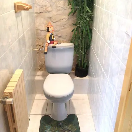 Charmante Maison A Avec Vue Sur Les Pyrenees 45 M² Feriehus *